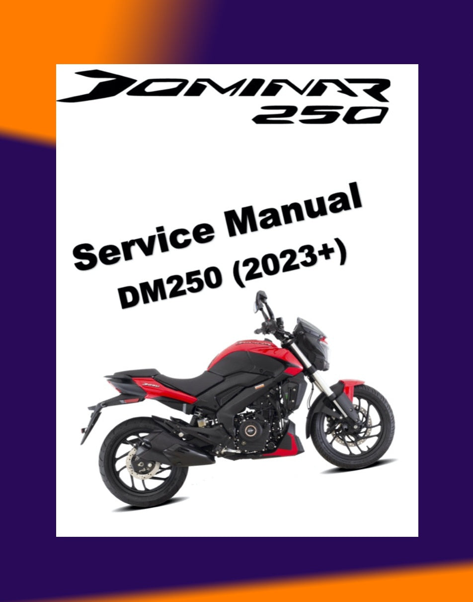 MODENAS DOMINAR 250 DM250 2023+ Full Manual Set – Repair & Maintenance Manual and Spare Parts Catalog and User Handbook